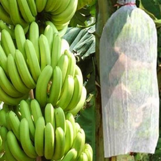 banana bag  Fruit Protection Bag